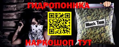 гашик Кулебаки