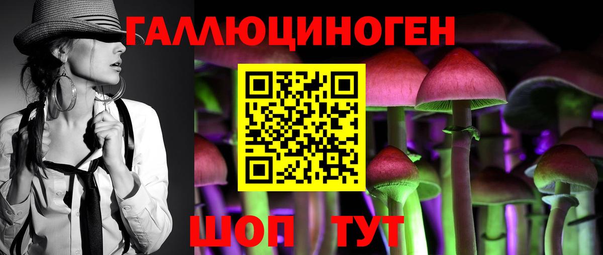 Камышлов  Галлюциногенные грибы GOLDEN TEACHER  Псилоцибиновые грибы Cubensis  Вход с VPN 